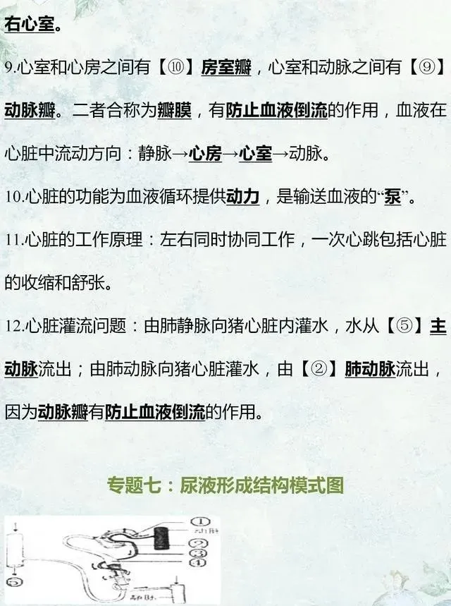 中考生物专题复习:识图作答专项练习,打印吃透,考试1分不丢! 第12张