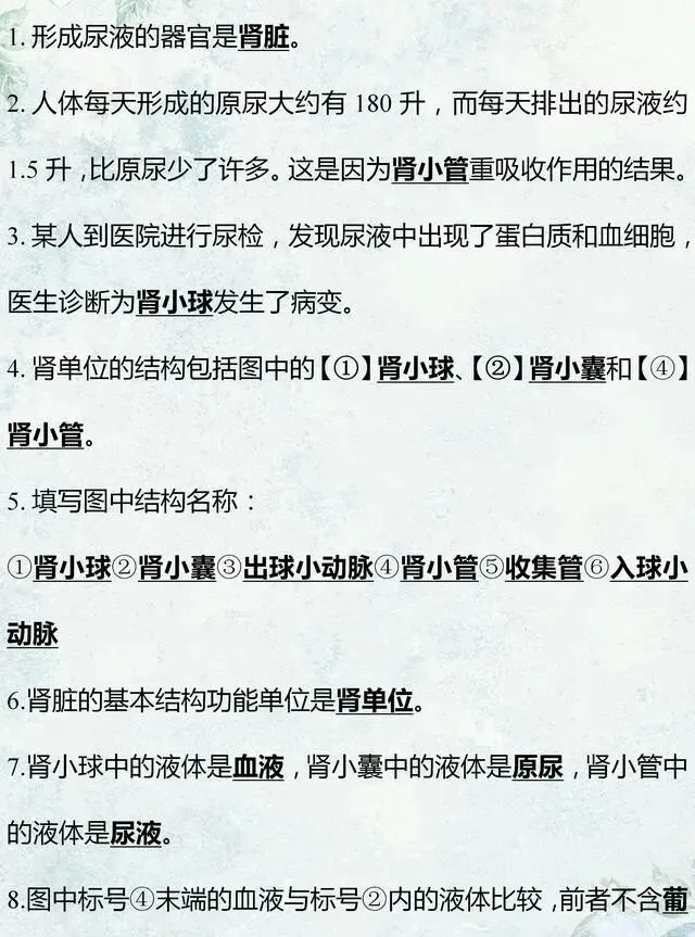 中考生物专题复习:识图作答专项练习,打印吃透,考试1分不丢! 第13张