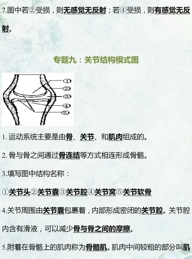 中考生物专题复习:识图作答专项练习,打印吃透,考试1分不丢! 第16张