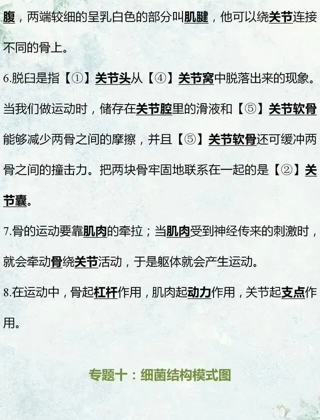 中考生物专题复习:识图作答专项练习,打印吃透,考试1分不丢! 第17张
