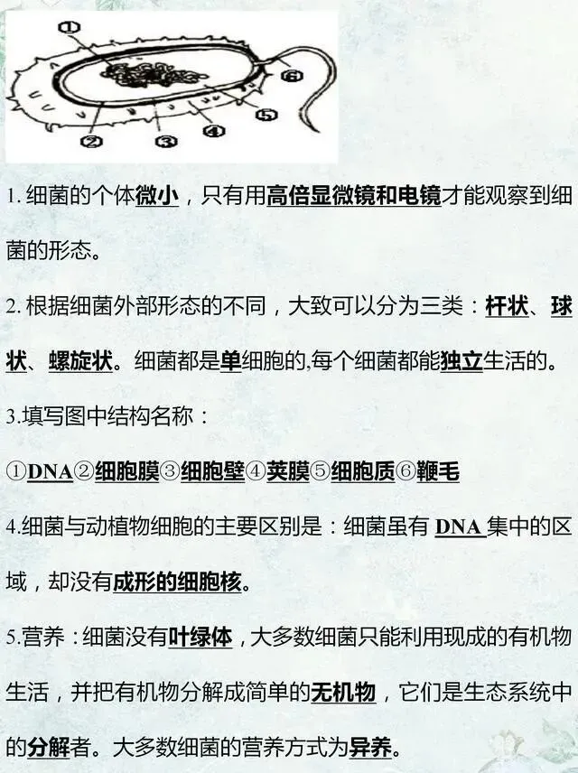 中考生物专题复习:识图作答专项练习,打印吃透,考试1分不丢! 第18张