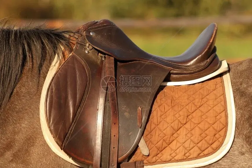 【深中】2026春季一模作文真题拆解 第1张