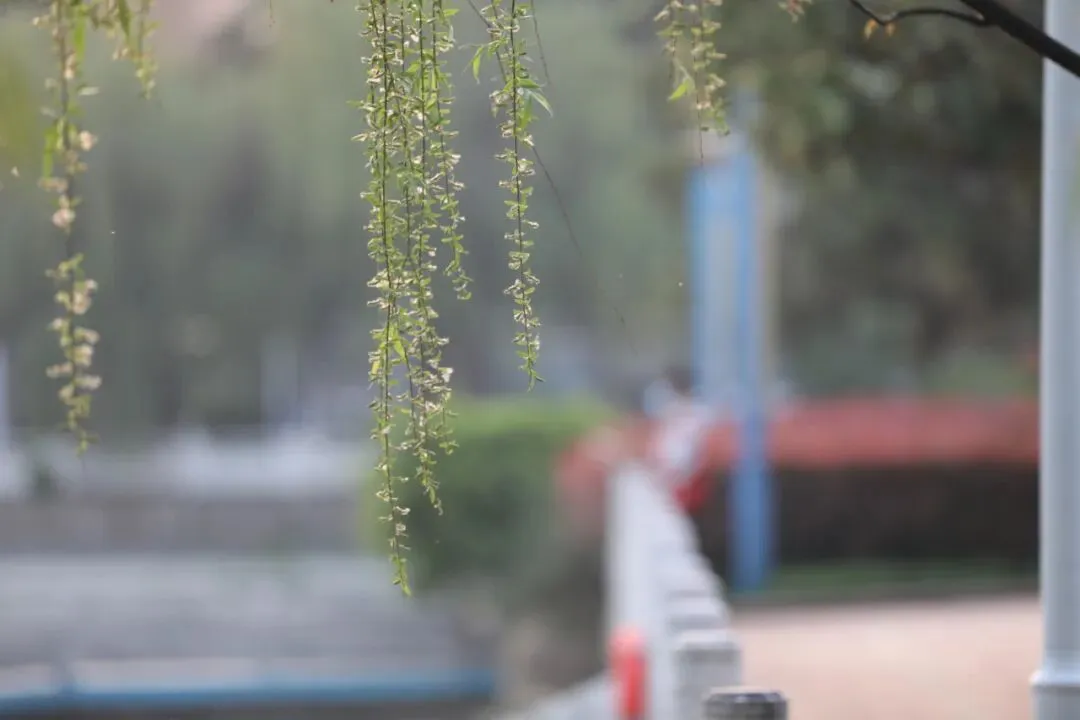 距中考71天丨做个有格局的供给者 第2张