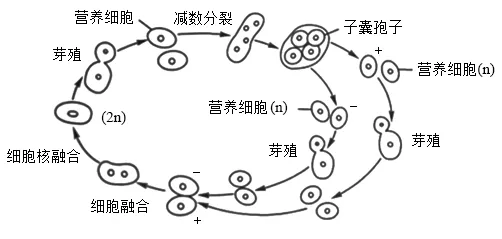 高考真题 | 每日一题(240) 第2张