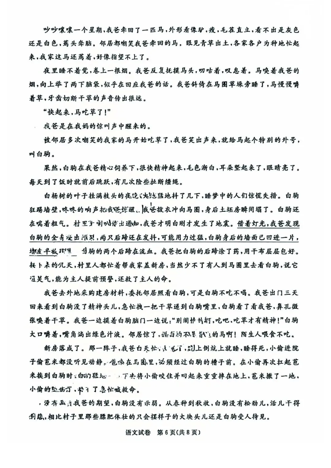 2026年河北省初中学业摸底考试语文试卷 第6张