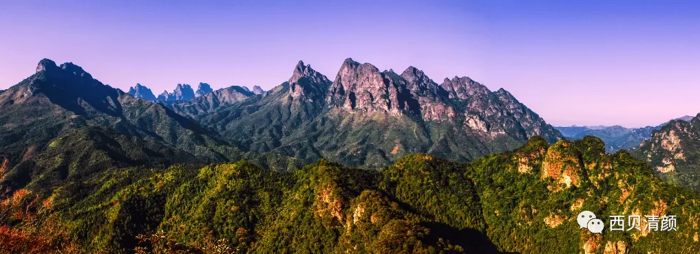 中考化学复习材料汇总 第103张