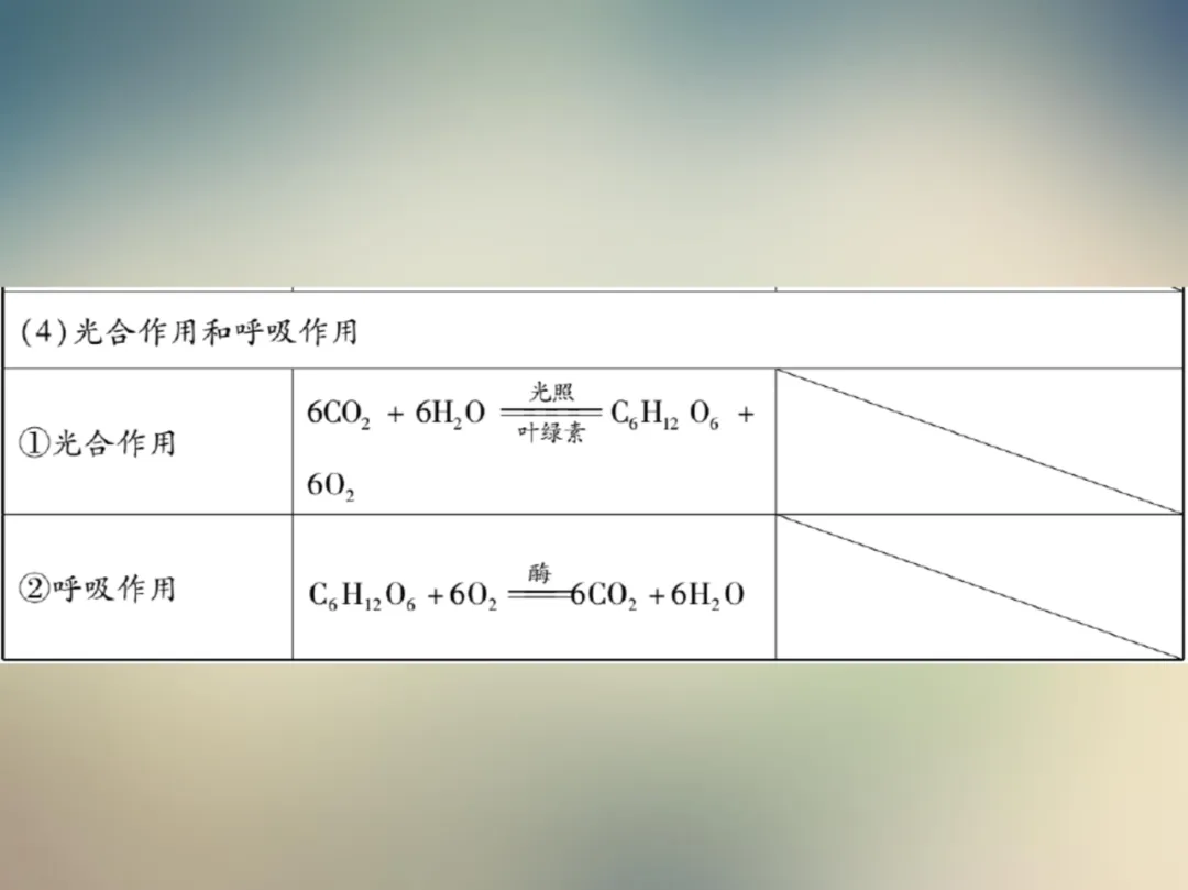 中考化学复习材料汇总 第175张