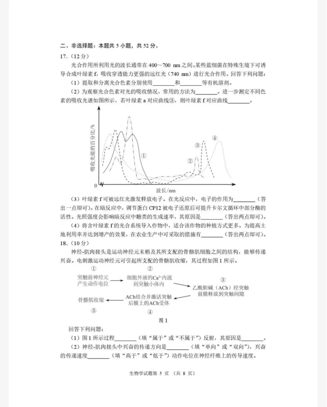 2026年河南省高三适应性考试生物学试卷及答案 第5张