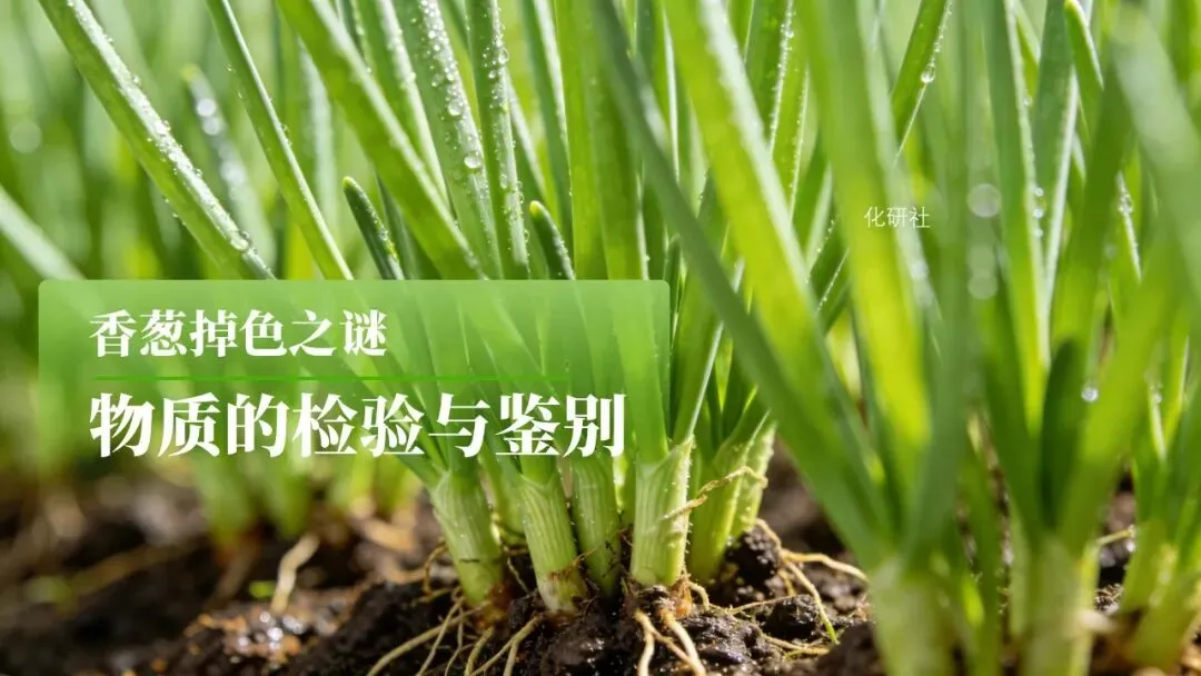 【2026中考化学复习课件】香葱掉色之谜——物质的检验鉴别 第2张