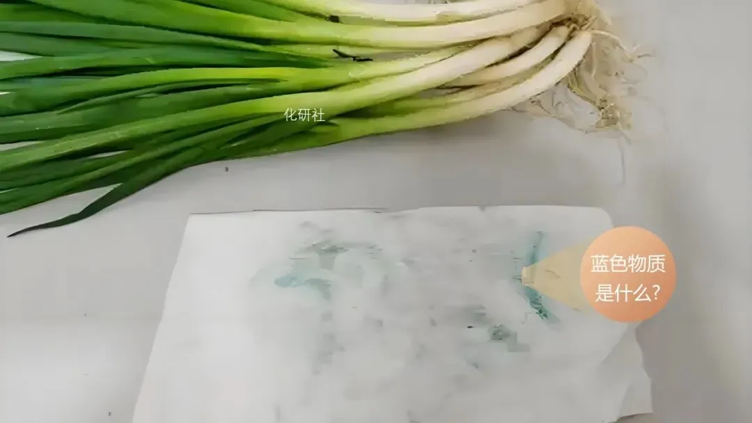 【2026中考化学复习课件】香葱掉色之谜——物质的检验鉴别 第5张