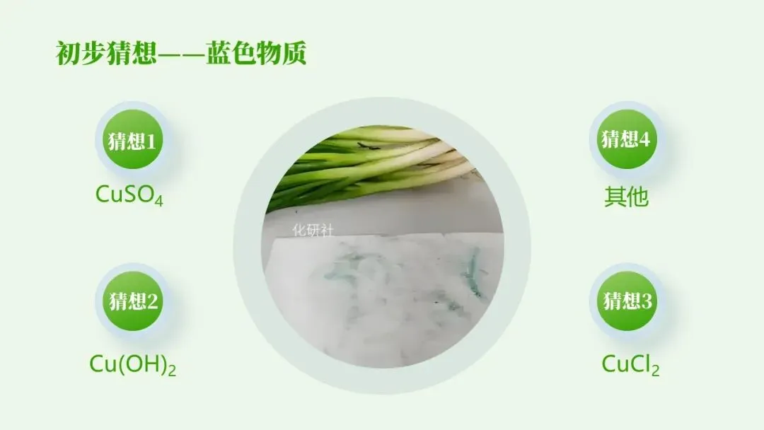 【2026中考化学复习课件】香葱掉色之谜——物质的检验鉴别 第7张