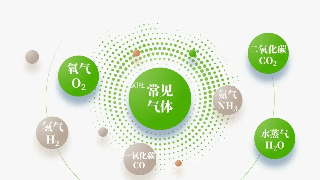 【2026中考化学复习课件】香葱掉色之谜——物质的检验鉴别 第24张