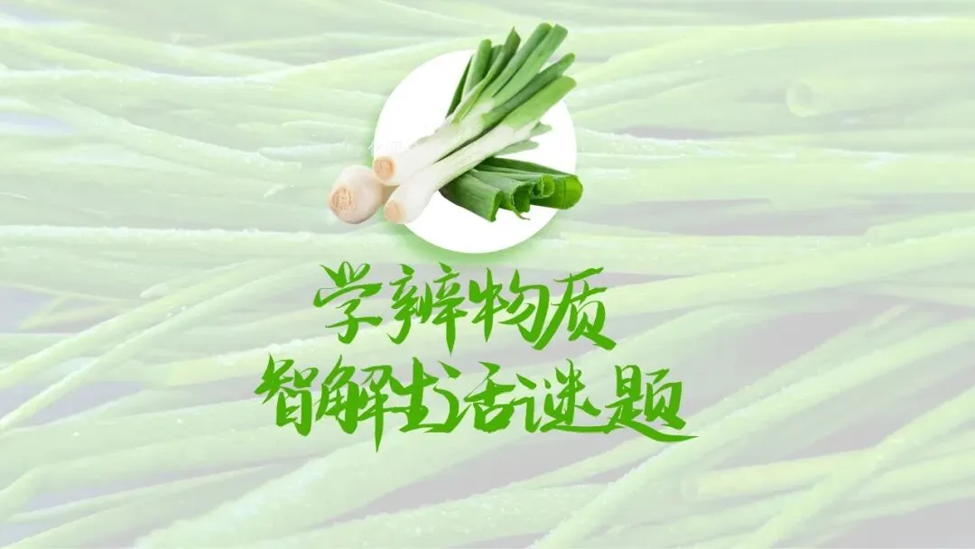 【2026中考化学复习课件】香葱掉色之谜——物质的检验鉴别 第27张