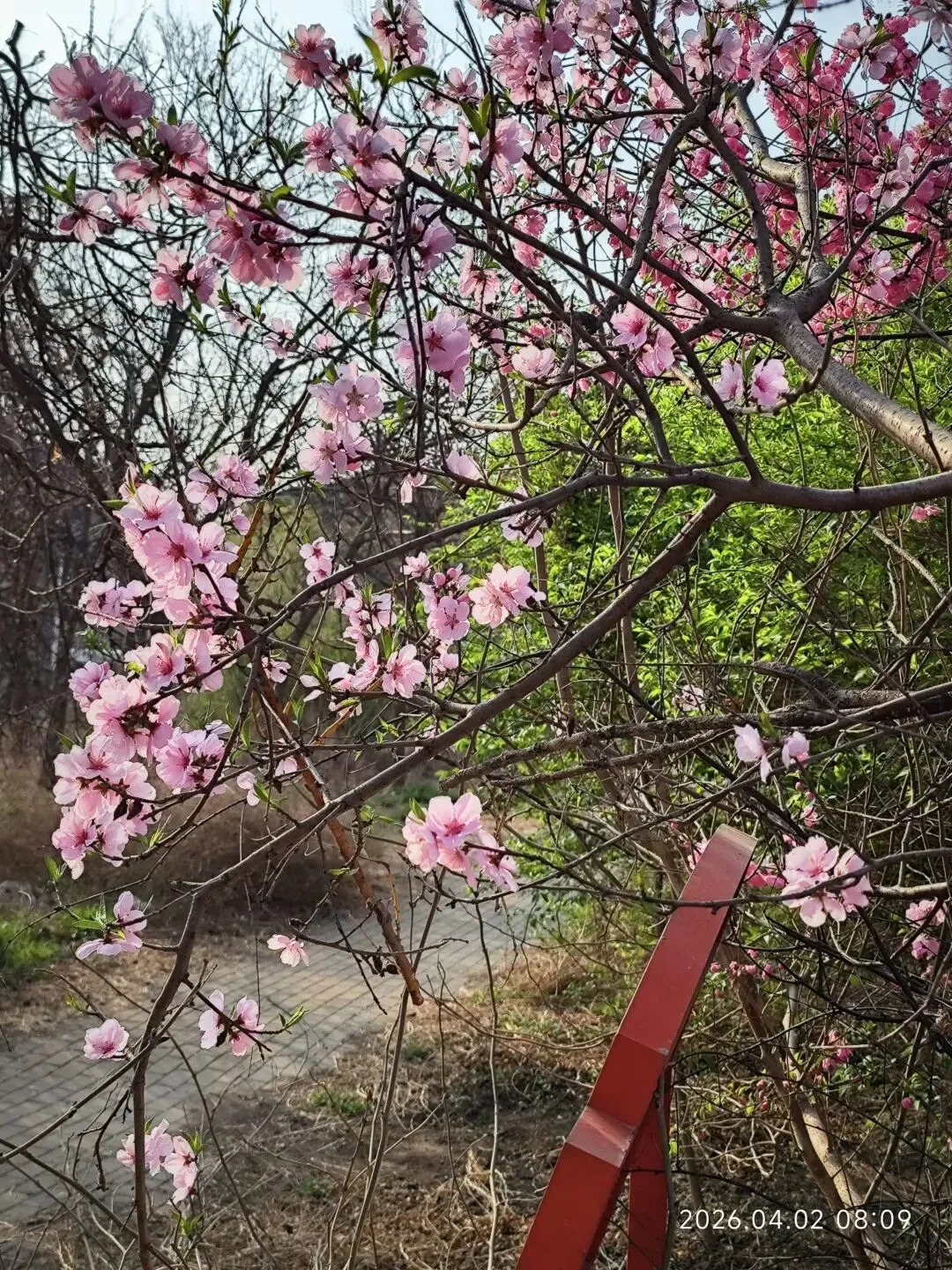 中考倒计时第77天 第1张