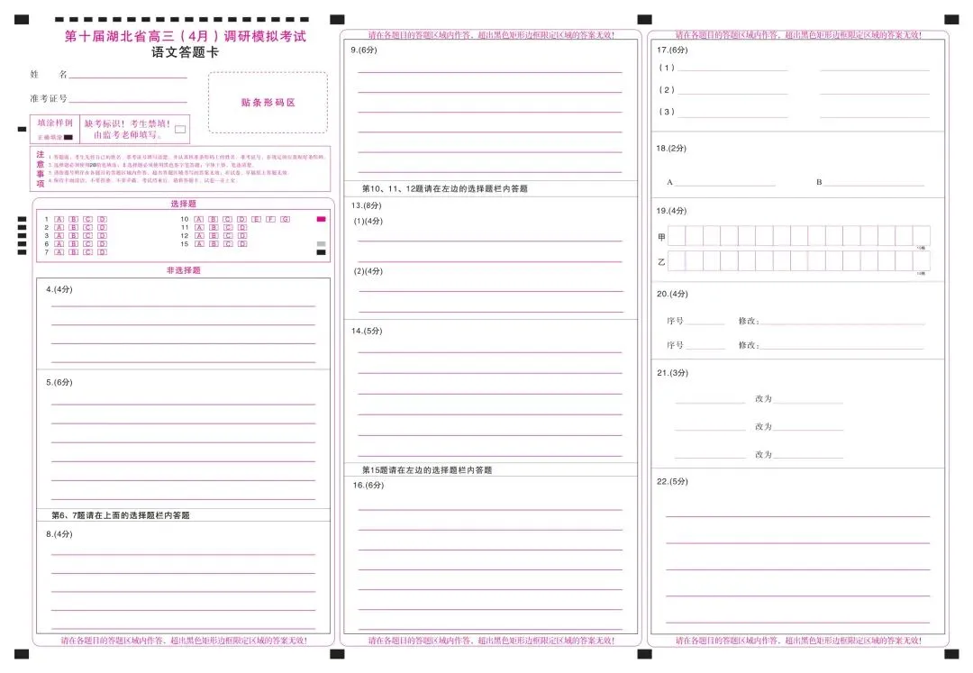 2025第十届湖北省高三4月调研模拟考试全科试题+答案+解析+可打印 第18张