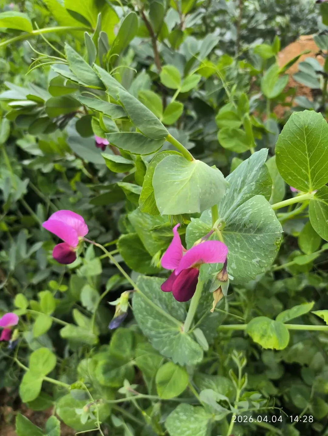 科学的尽头,是给祖先烧试卷 第1张