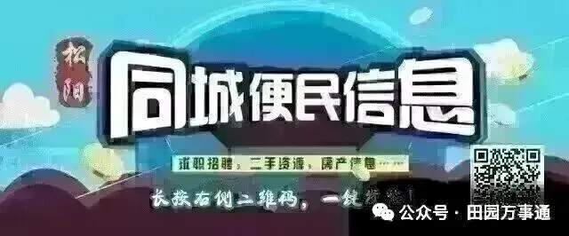 中考时间提前!松阳家长请注意 第2张 中考时间提前!松阳家长请注意 第2张