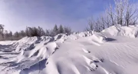 【微文1936】【语文试卷151】统编版六年级上册期末考试语文(也是冬天,也是春天) 第2张 【微文1936】【语文试卷151】统编版六年级上册期末考试语文(也是冬天,也是春天) 第2张