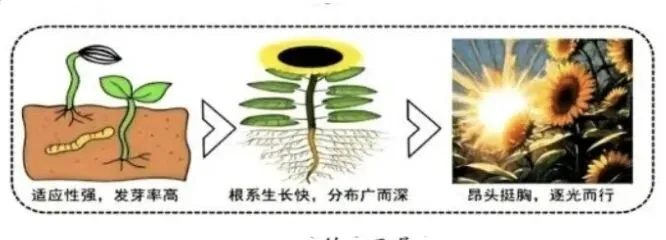 2026年中考道德与法治模拟考试(十五)试题及参考答案 第2张