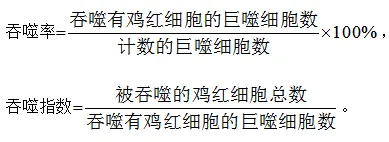 2025年高考真题分类汇编(部分)——专题七 实验 第3张