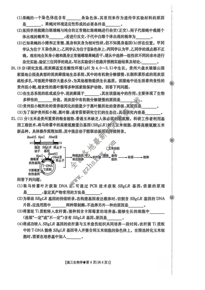 《高中试卷》贵州省安顺市2026届上学期期末教学质量监测生物(含答案) 第7张
