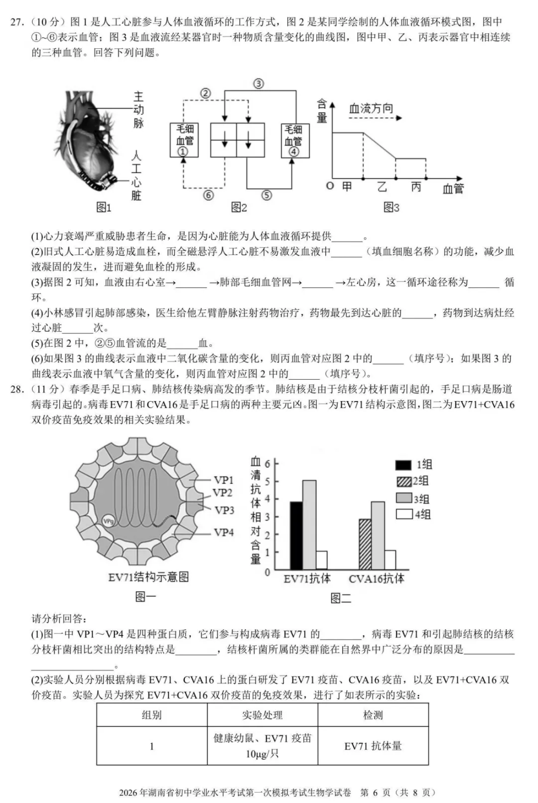 【模拟卷4】2026年湖南省初中学业水平考试第一次模拟考试试卷生物学 第6张