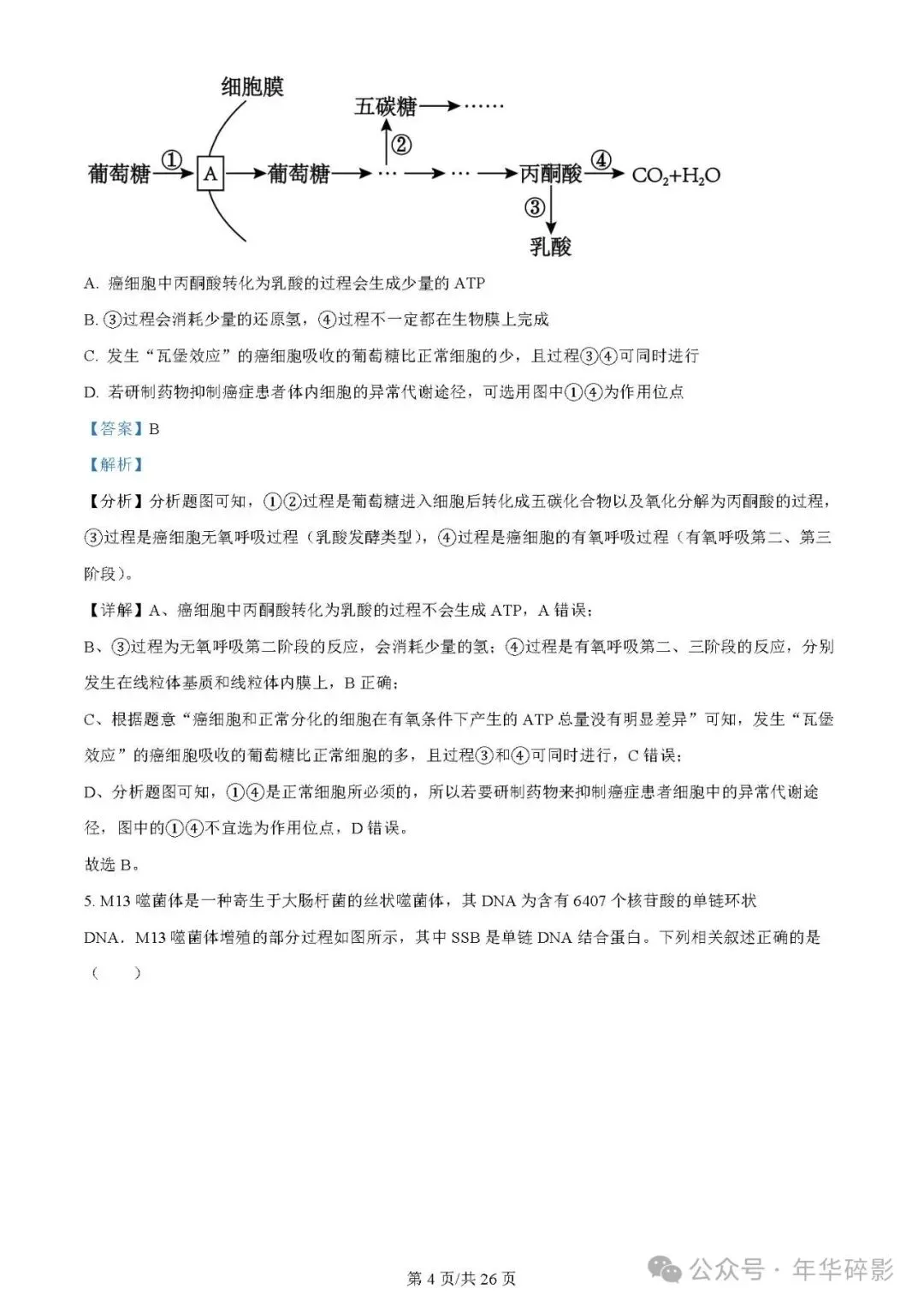 山东省实验中学2024届高三第一次模拟考试生物试题及参考答案(无水印版) 第5张 山东省实验中学2024届高三第一次模拟考试生物试题及参考答案(无水印版) 第5张