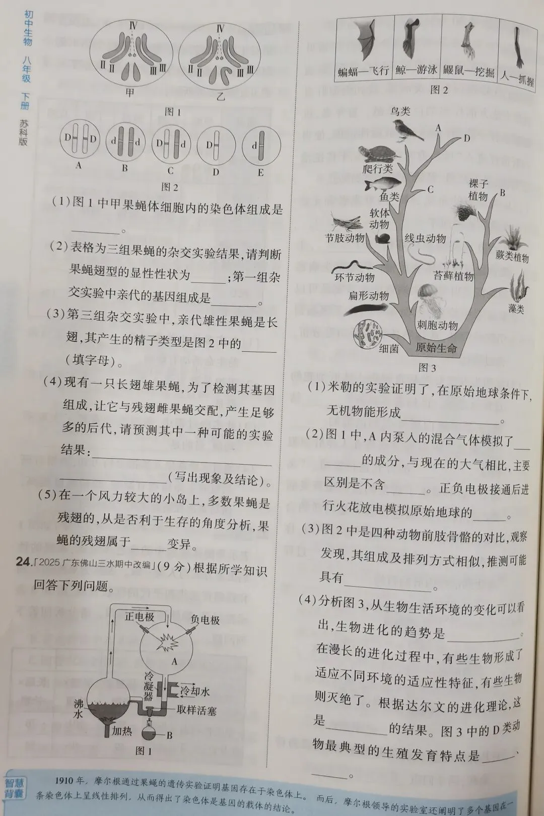 期末试卷:苏科版生物八年级下册期末测试卷(一) 第7张