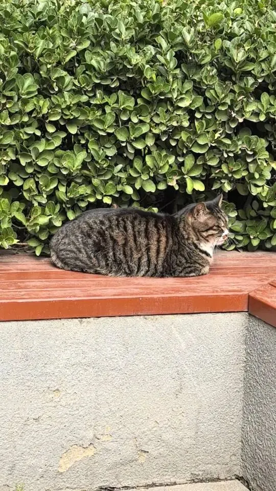 北京大学616中共党史真题 第2张 北京大学616中共党史真题 第2张