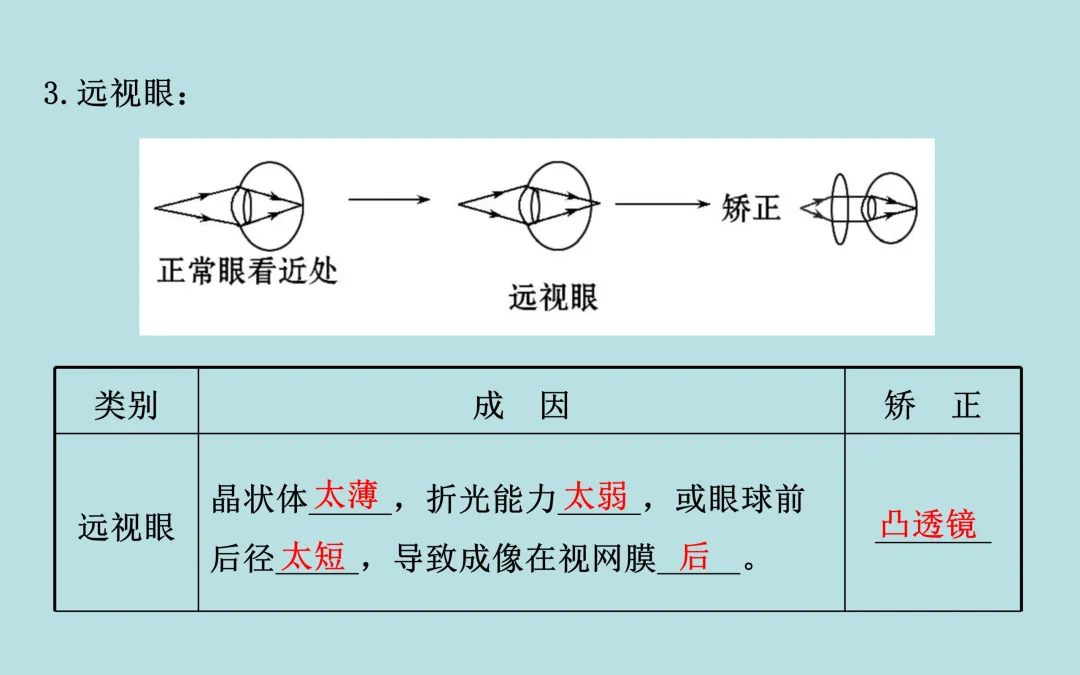中考复习——第五章《透镜及其应用》课件分享 第11张