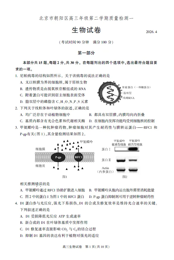 2026年春4月北京朝阳高三一模生物试卷(含答案解析) 第1张