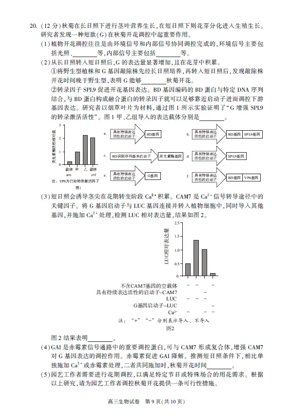 2026年春4月北京朝阳高三一模生物试卷(含答案解析) 第3张