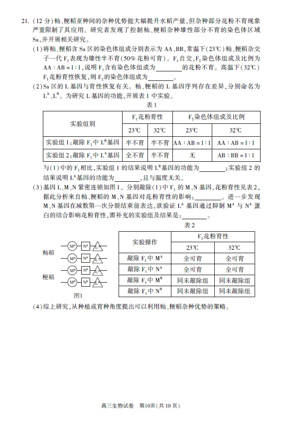 2026年春4月北京朝阳高三一模生物试卷(含答案解析) 第4张