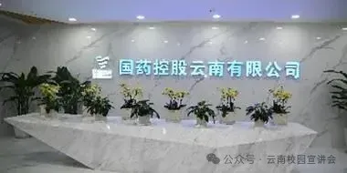 【真题解析】2026年4月3日中国医药集团国药控股云南公司纪检(巡察)人才专项社会招聘线上面试试卷解析2026国药云南公司面试考生回忆版 第6张