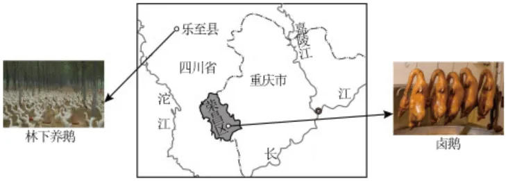 【中考真题】2025年重庆市中考地理试卷 第4张