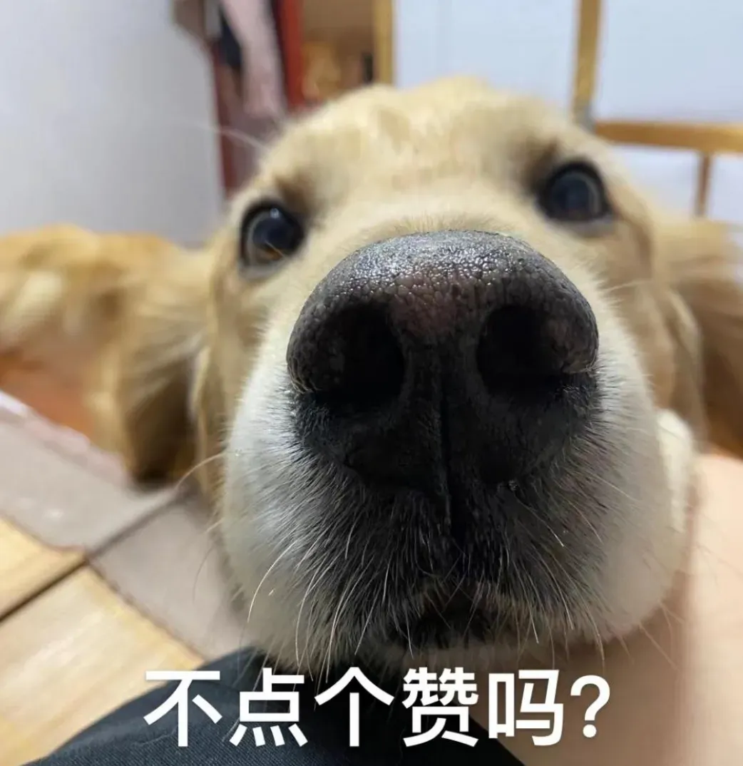 明早8:00!2026榆林中考报名开始报名!附榆林市中考信息管理平台入口→ 第10张 明早8:00!2026榆林中考报名开始报名!附榆林市中考信息管理平台入口→ 第10张