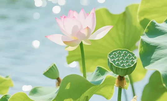 26春53阅读真题60篇 第14张 26春53阅读真题60篇 第14张