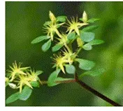 浙江中考科学2022——2024真题分类解析(一) 第2张 浙江中考科学2022——2024真题分类解析(一) 第2张