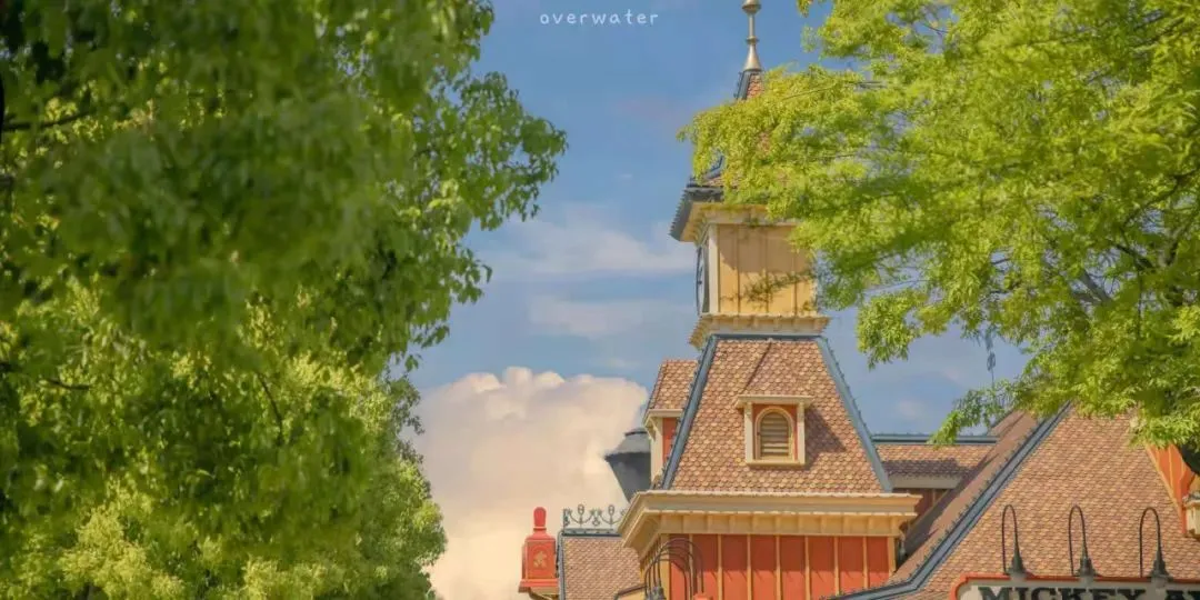 中考优秀作文:走过,才明白(附范文4篇+点评) 第4张