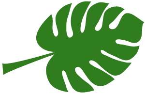 中考优秀作文:走过,才明白(附范文4篇+点评) 第5张