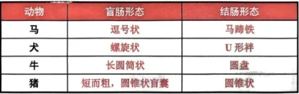 真题分享 | 执兽考试易错题之临床解剖篇(二) 第5张 真题分享 | 执兽考试易错题之临床解剖篇(二) 第5张