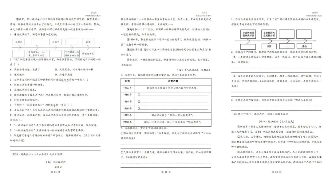 2026年这套小升初阅读真题集,不是拼题,而是在做一套真正能练能力的阅读资料 第3张 2026年这套小升初阅读真题集,不是拼题,而是在做一套真正能练能力的阅读资料 第3张