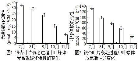 2026届山东济宁市高三第一次模拟考试生物试题 第7张