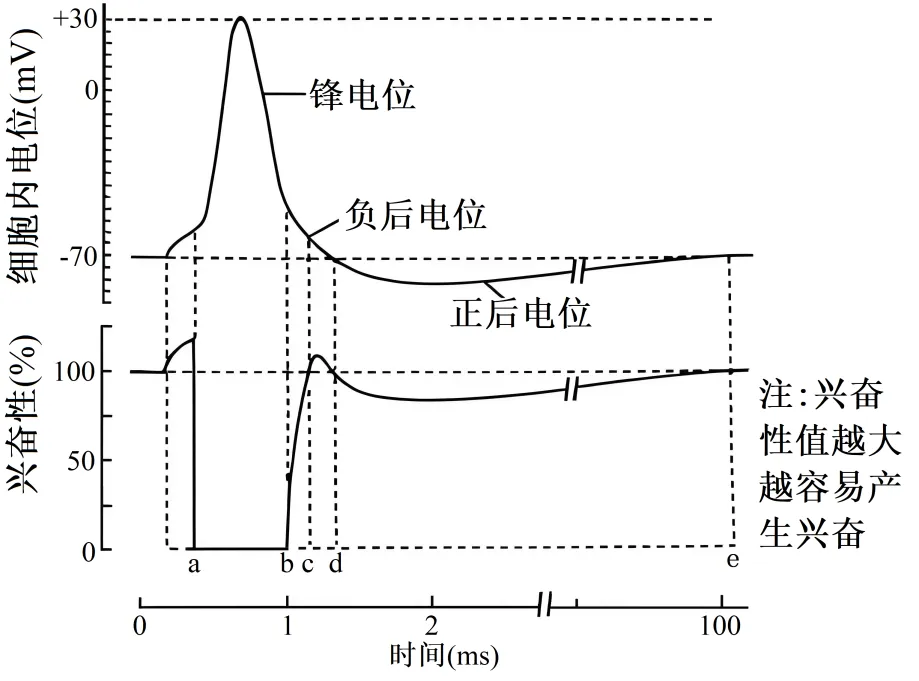 2026届山东济宁市高三第一次模拟考试生物试题 第9张
