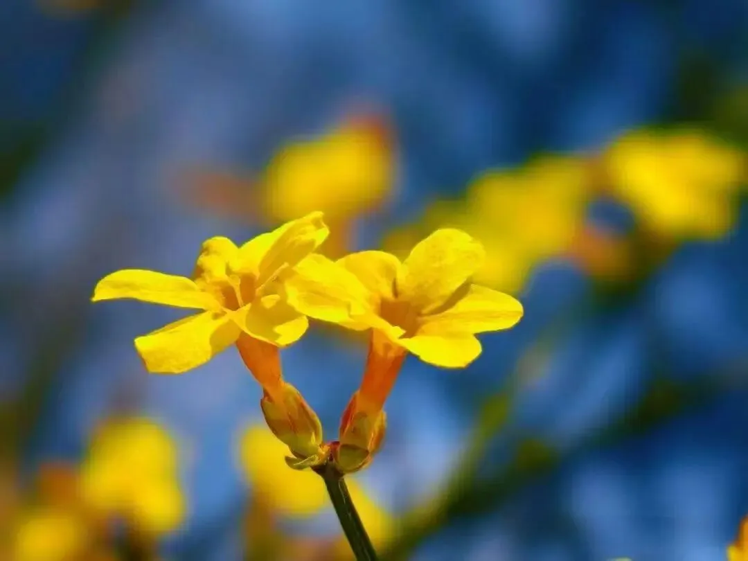 高考模拟考试优秀作文精选 第1张