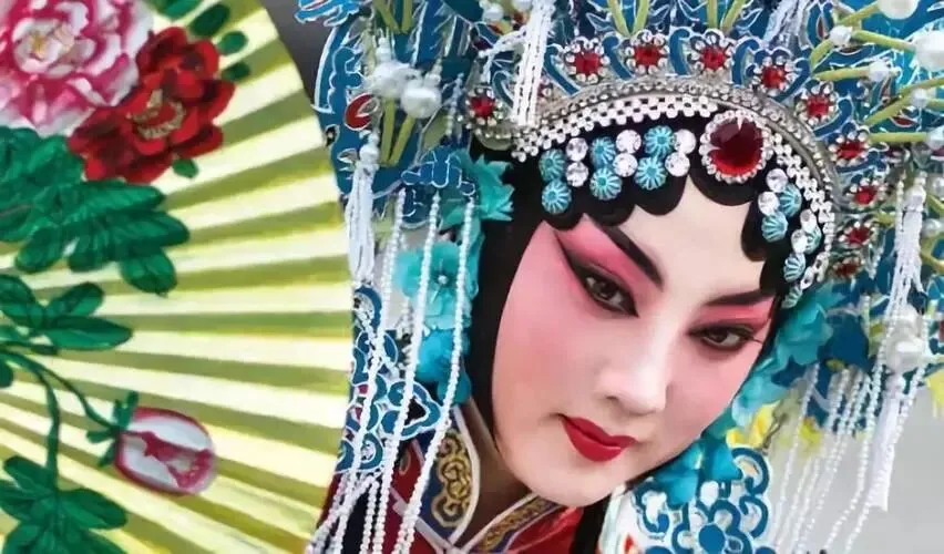 【中考阅读指导】皮黄一响(宋明珠)云南2025 第5张