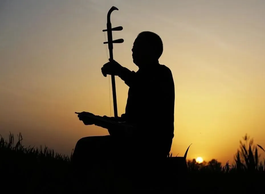 【中考阅读指导】皮黄一响(宋明珠)云南2025 第7张