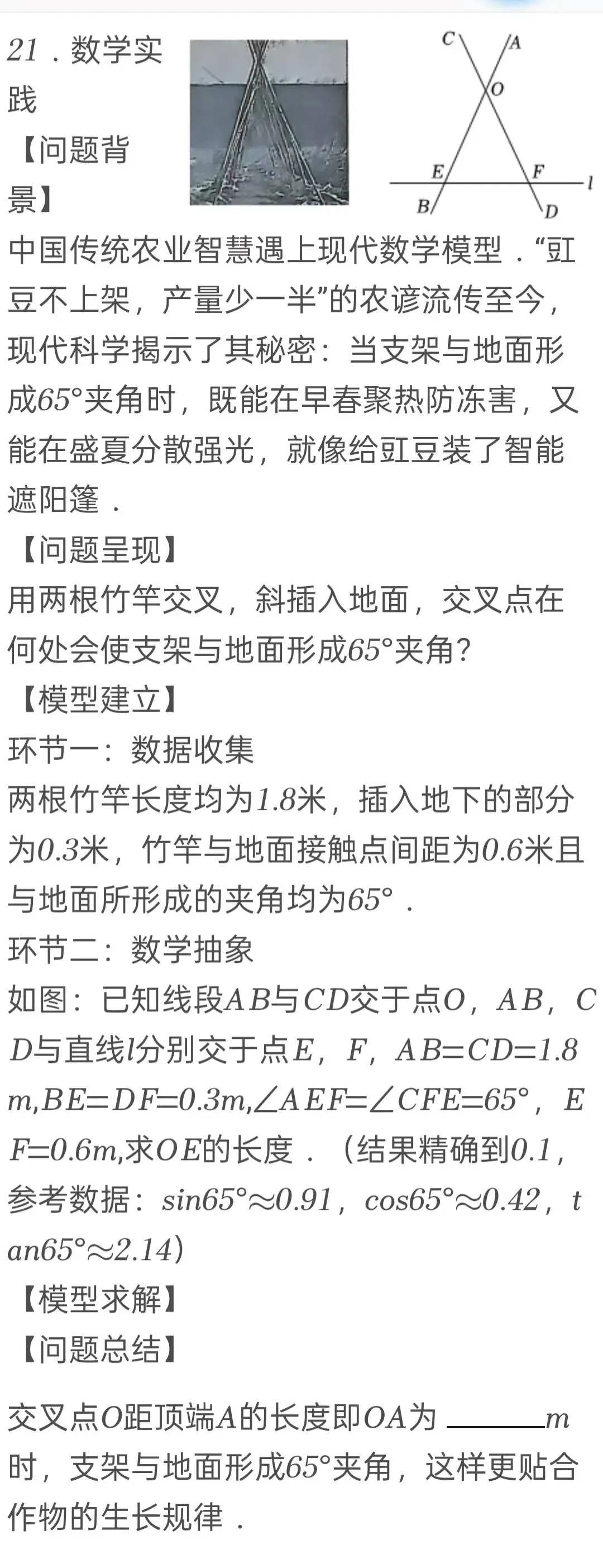 2025年青海省中考数学试卷 第21张