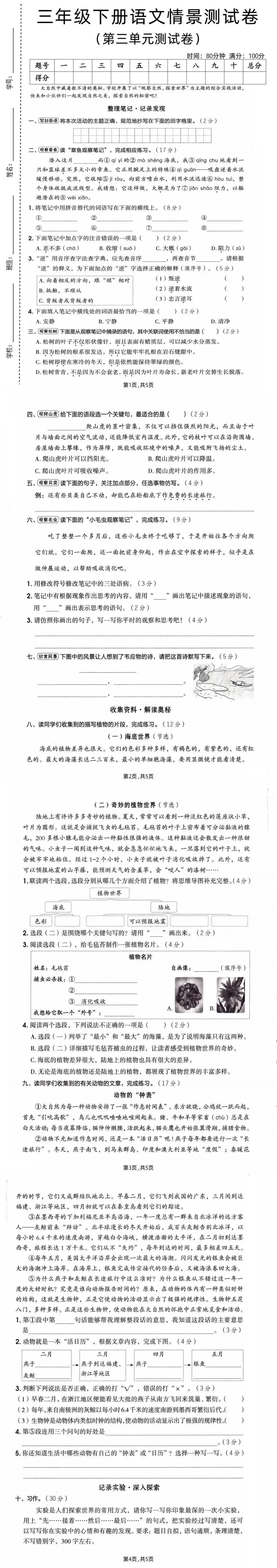 2026春三年级下册语文《第三单元真题测试卷》(共3套,含答案,文末附下载链接) 第2张 2026春三年级下册语文《第三单元真题测试卷》(共3套,含答案,文末附下载链接) 第2张