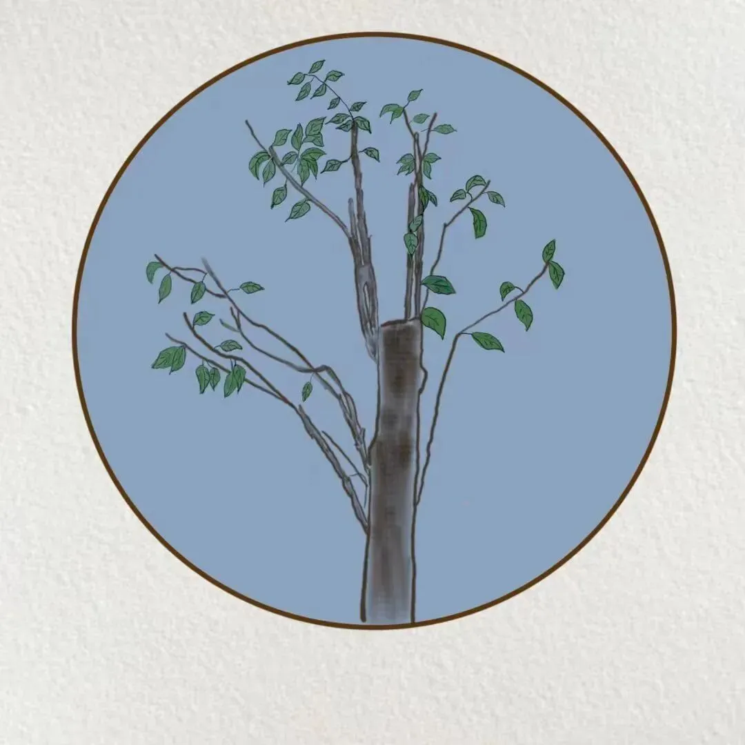 中考英语必背句型丨25-30句跟读版 第3张